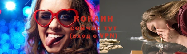 мет Михайлов