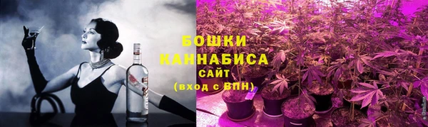шишки Санкт-Петербург