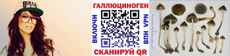 Галлюциногенные грибы Cubensis  Рыльск 